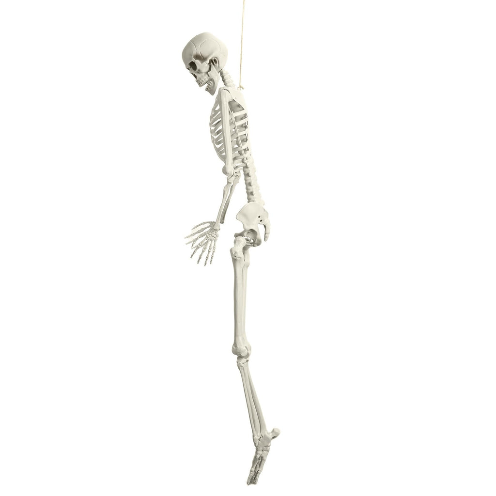 5.4ft White Posable Skeleton W87148