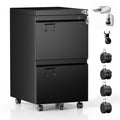 2 Drawer Black Metal File Cabinet with Lock G18488