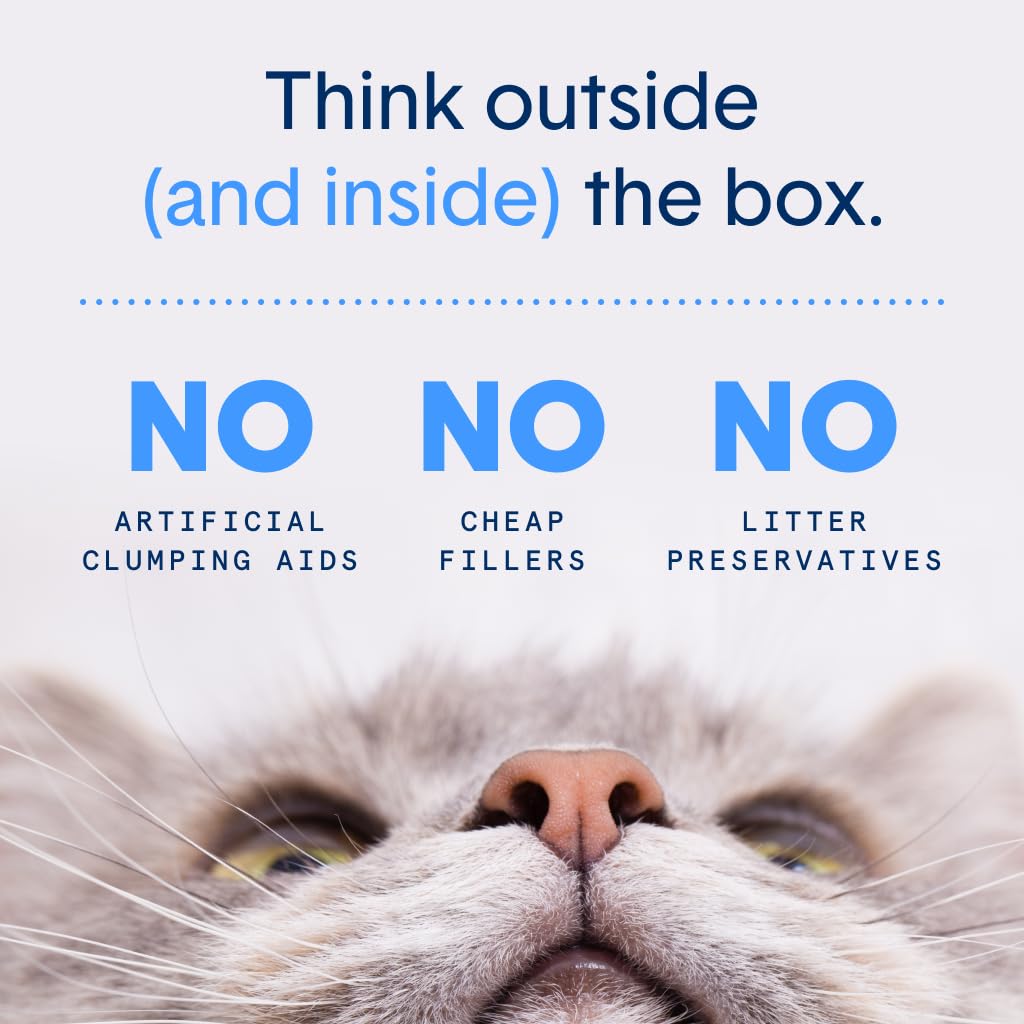 Probiotic Cat Litter, Non-Clumping, Crystal, 6lb P4049