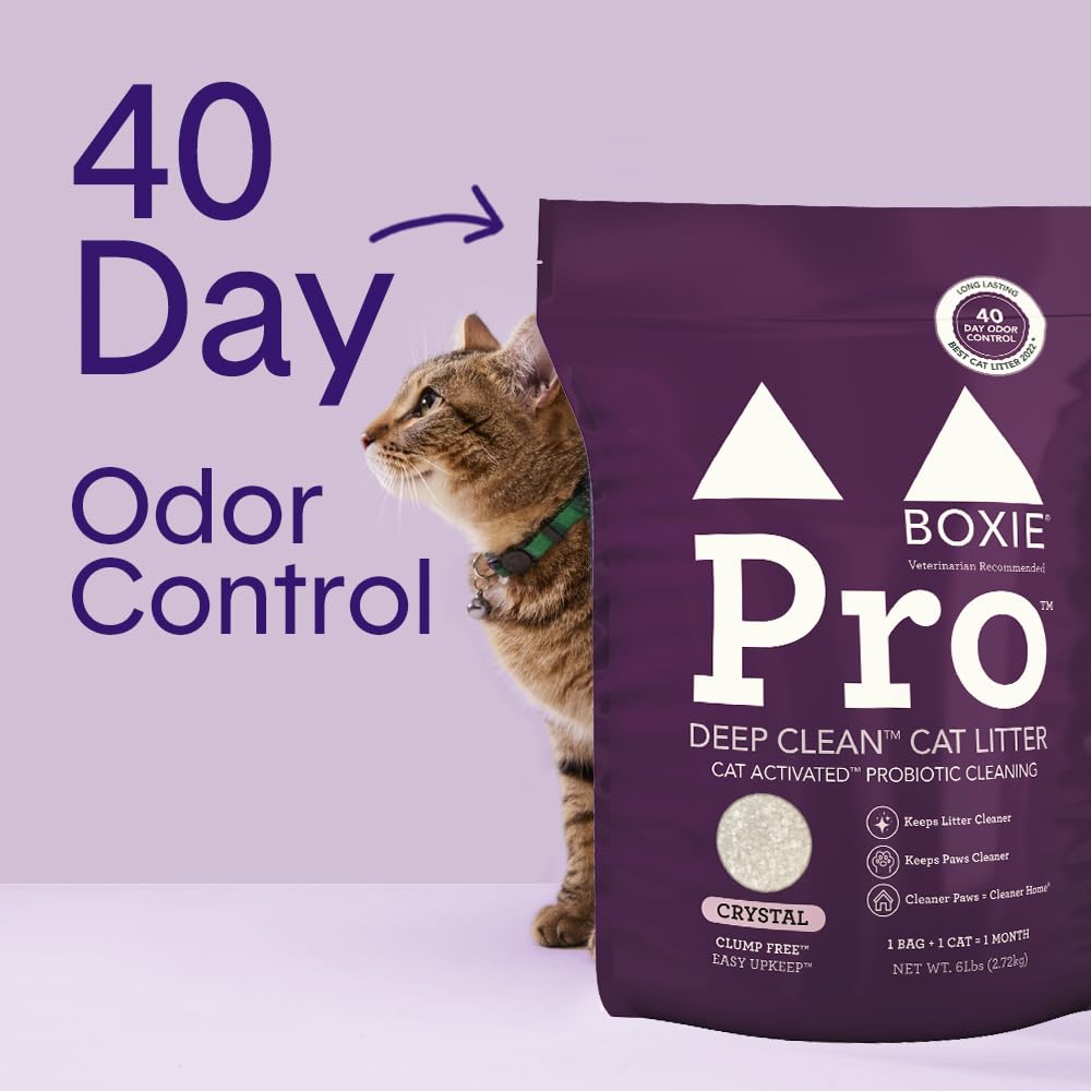 Probiotic Cat Litter, Non-Clumping, Crystal, 6lb P4049