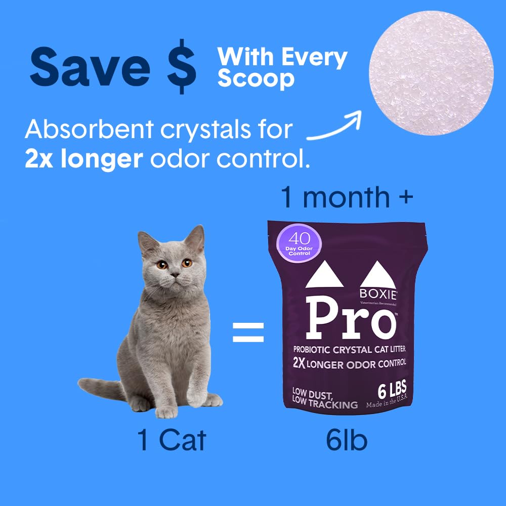 Probiotic Cat Litter, Non-Clumping, Crystal, 6lb P4049