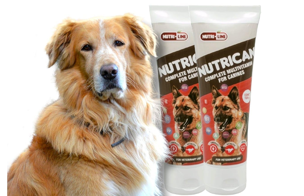 Multivitamin Nutritional Gel for Dogs 4.25 oz V7460