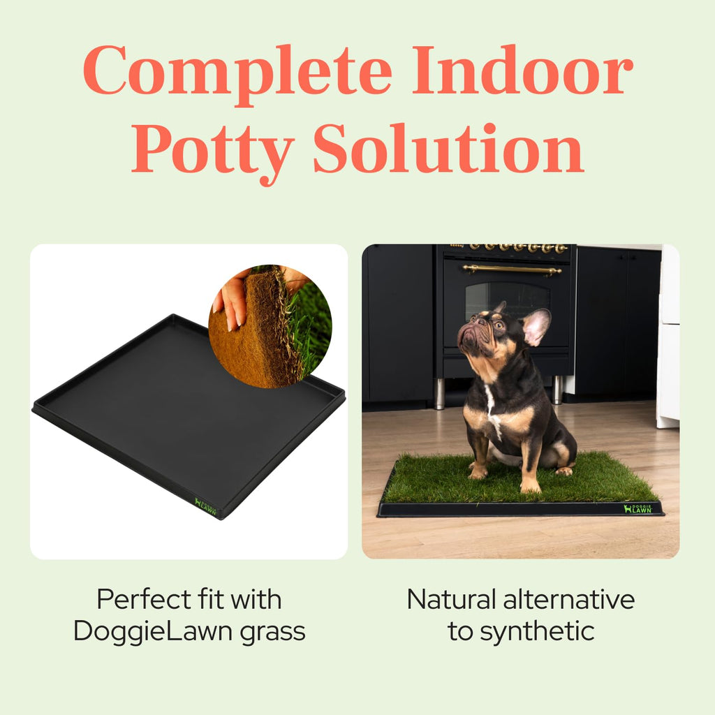 Leak-Proof Dog Potty Tray Medium Q510