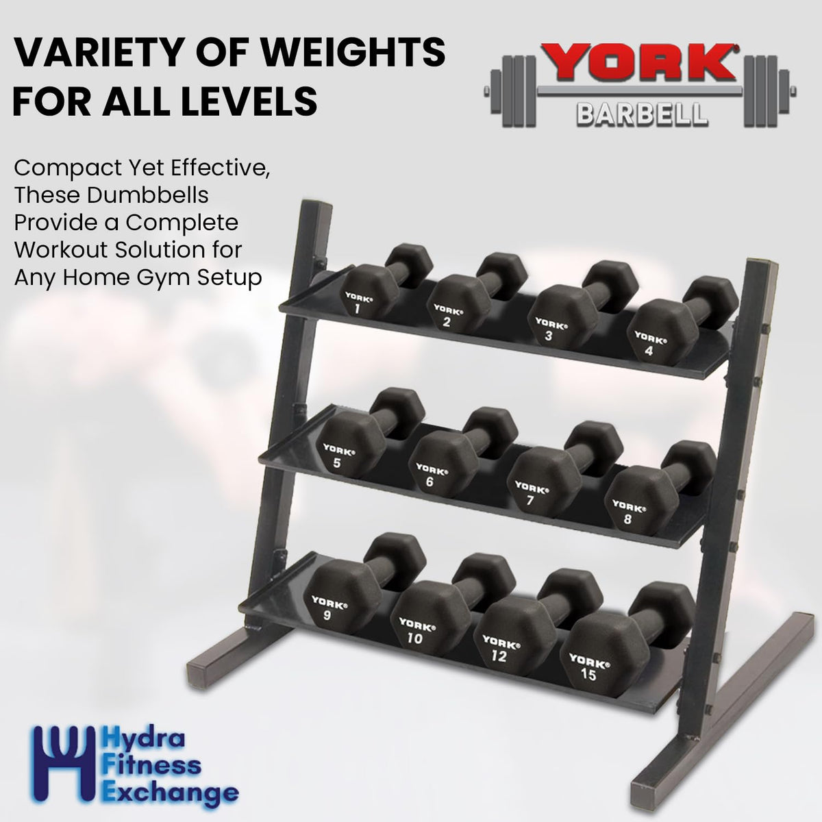 Neoprene Hexagon Dumbbells with Cast Ergo Handle, 10lb Pack of 4 L547530