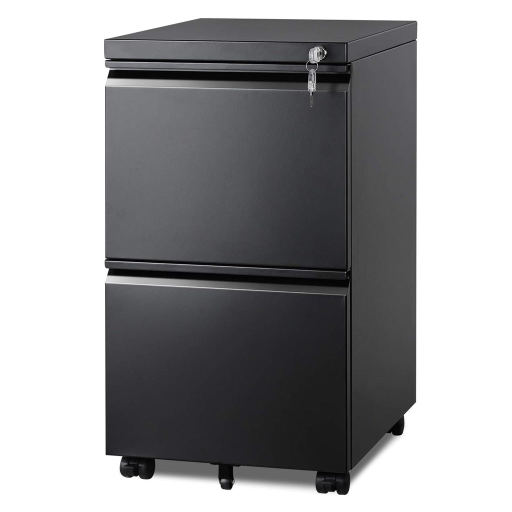 2 Drawer Metal File Cabinet G1494