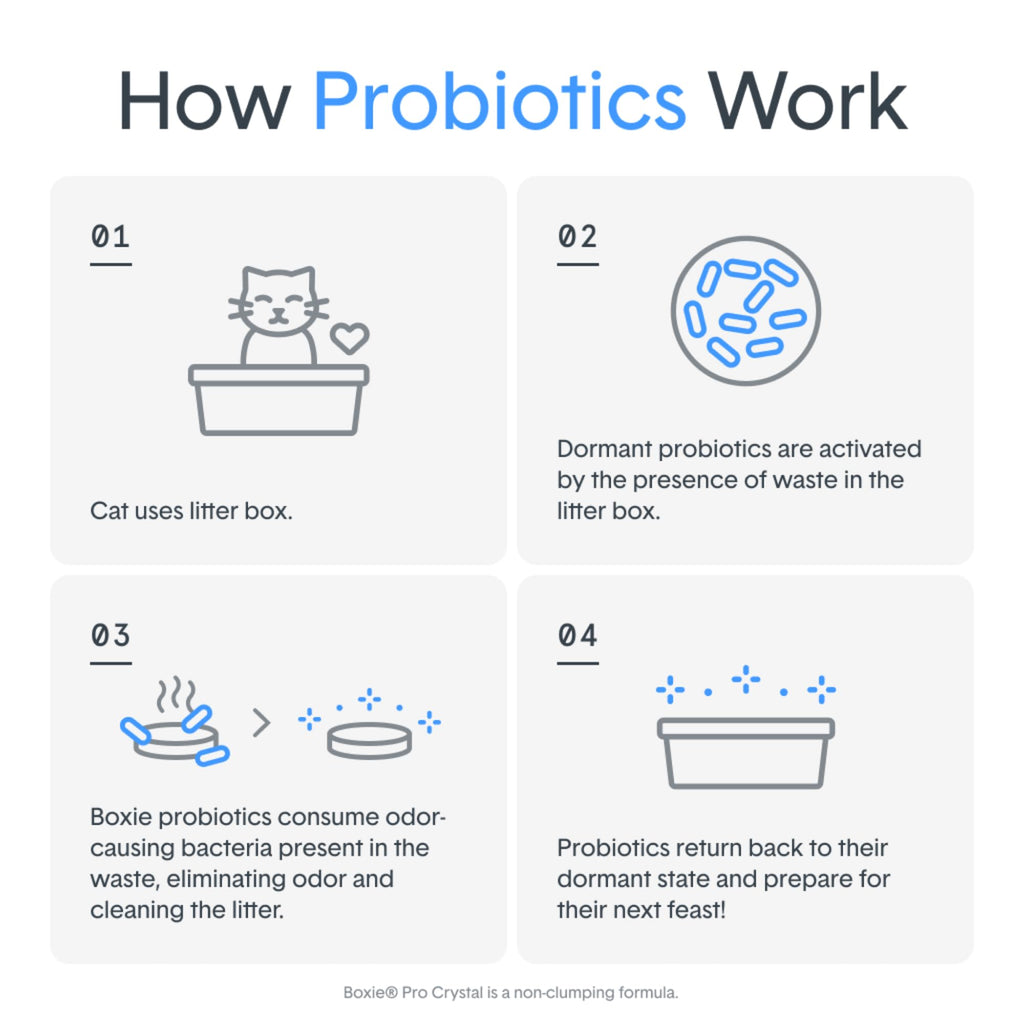 Probiotic Cat Litter, Non-Clumping, Crystal, 6lb P4049