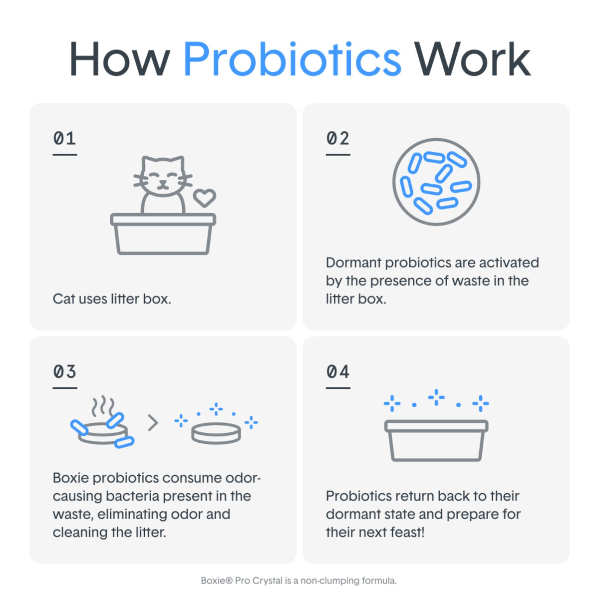 Probiotic Cat Litter, Non-Clumping, Crystal, 6lb P4049