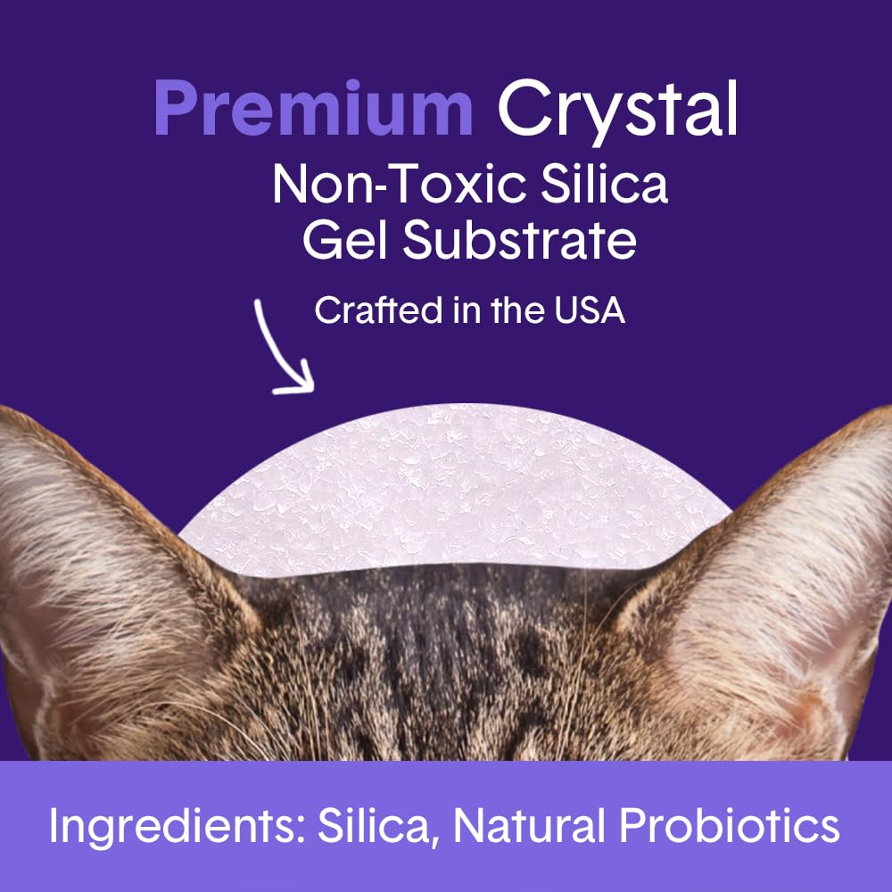Probiotic Cat Litter, Non-Clumping, Crystal, 6lb P4049