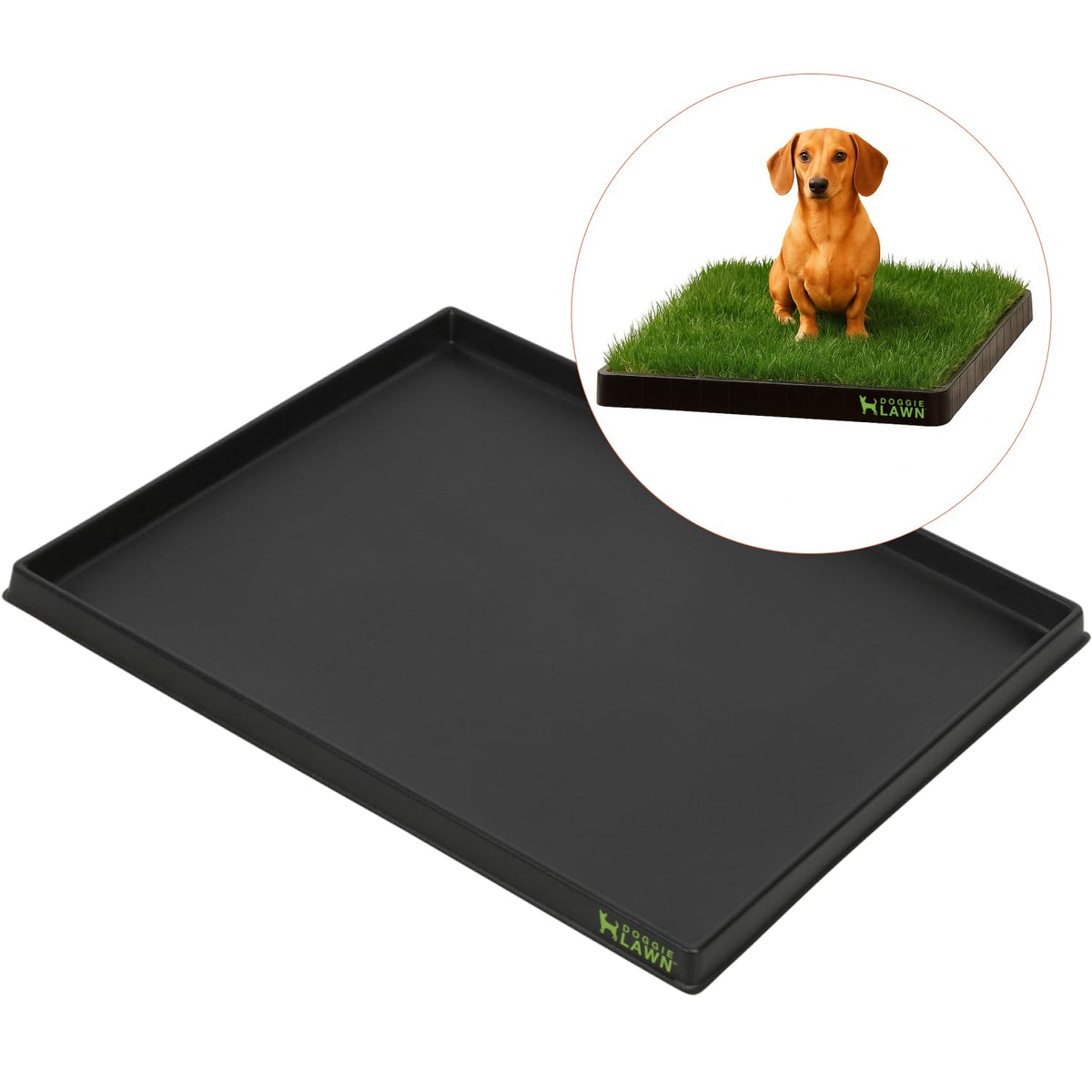 Leak-Proof Dog Potty Tray Medium Q510