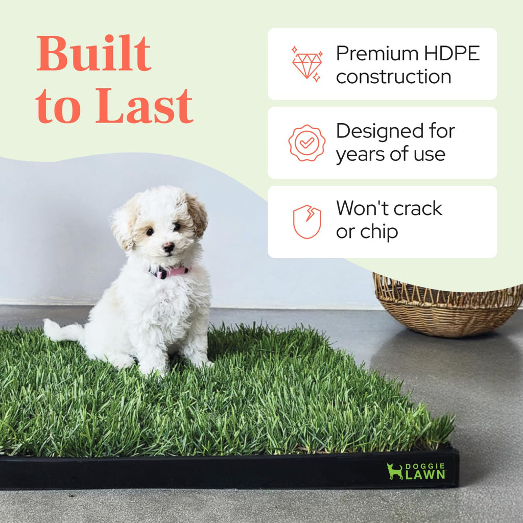 Leak-Proof Dog Potty Tray Medium Q510