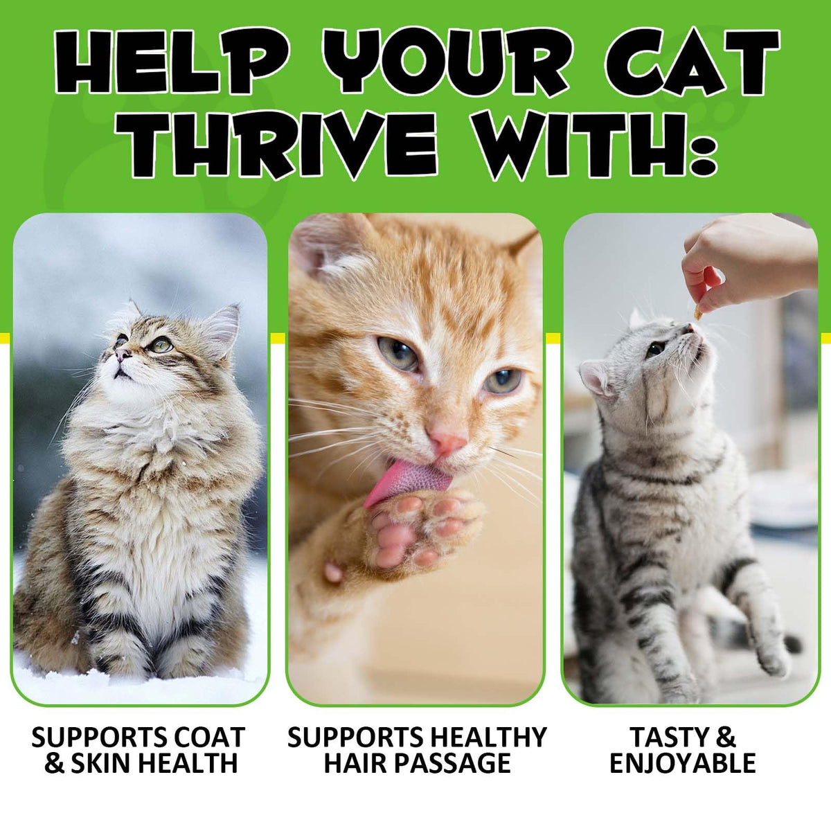 Cat Hairball Support Chews with Cat Grass & Omega-3 Fish Oil N54265