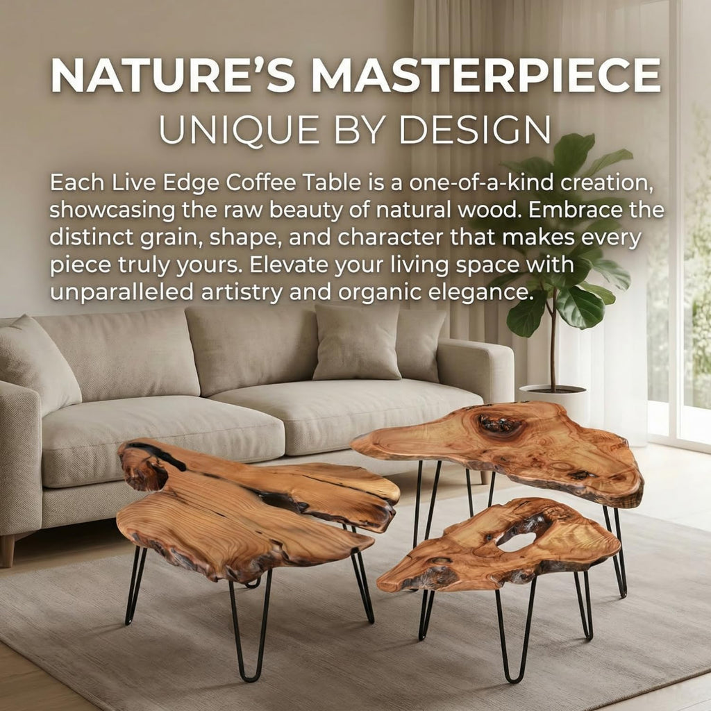 Live Edge Natural Wood Coffee Table K80991
