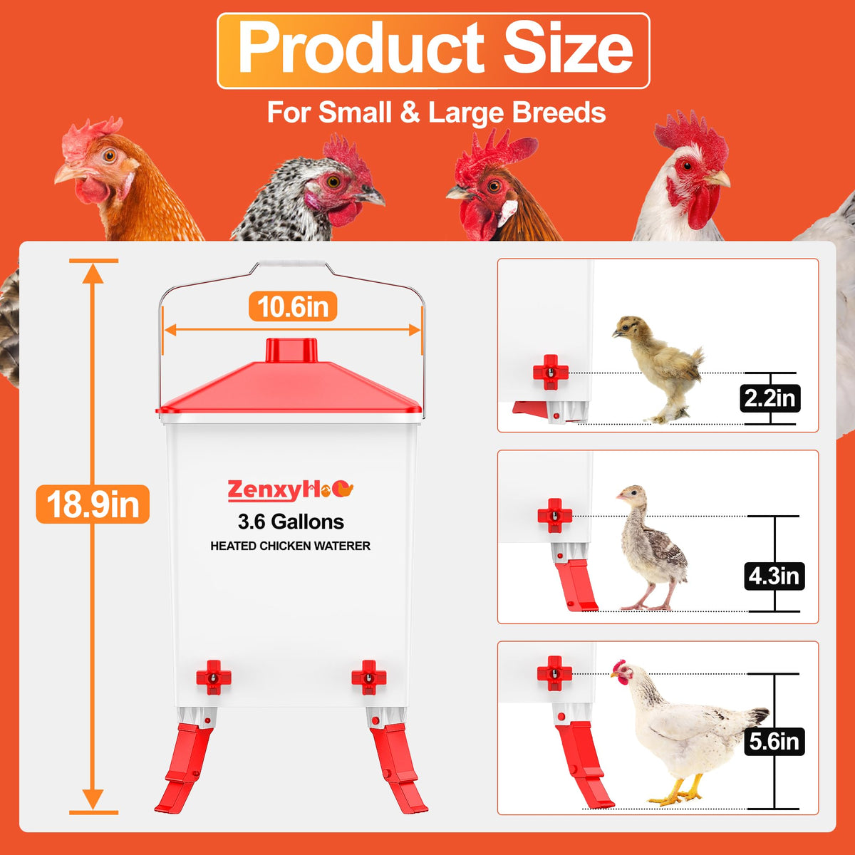 3.6 Gal Chicken Waterer with 4 Water Nipples G8033
