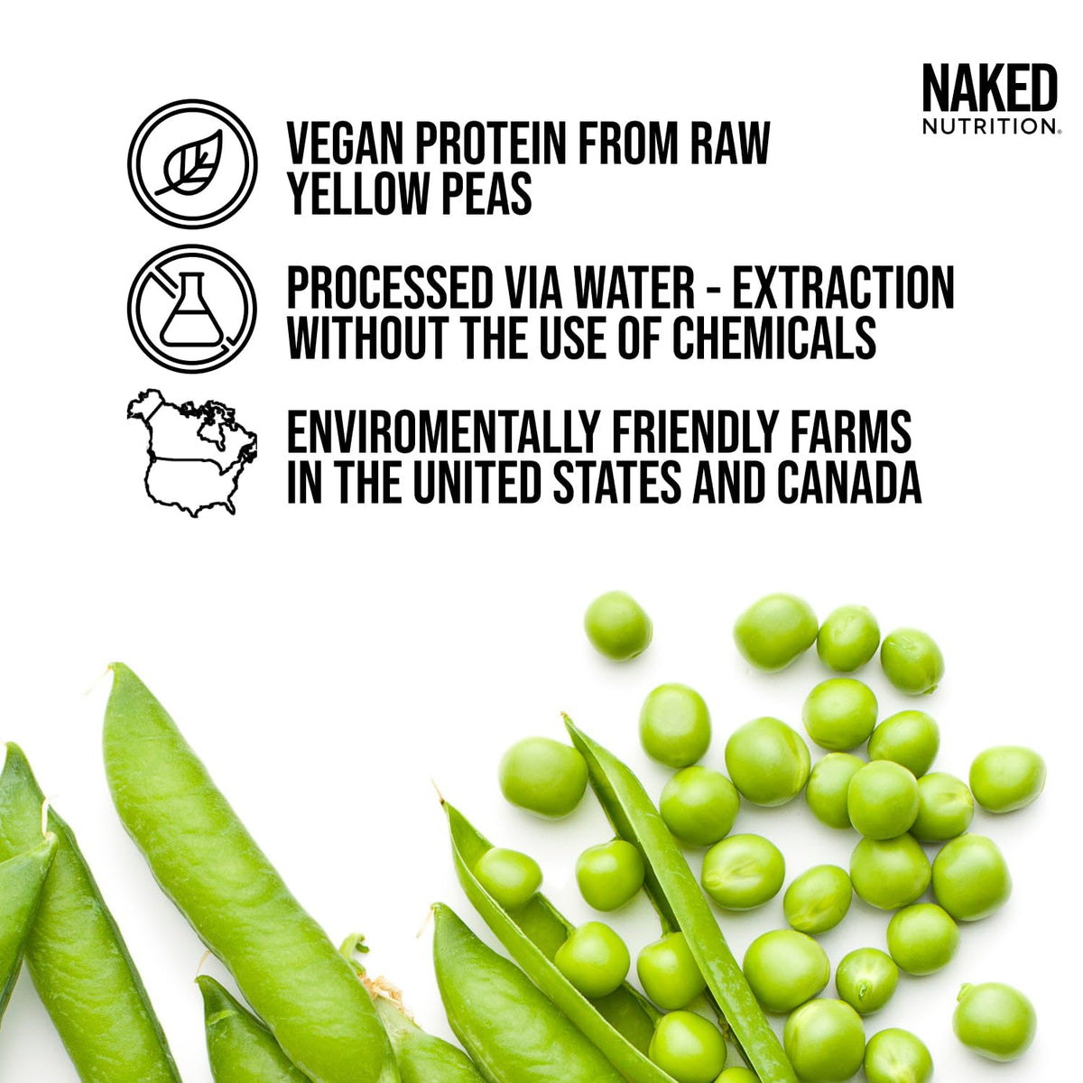 Dairy Free Protein Bundle: 5LB Unflavored Pea and 2LB PB O323