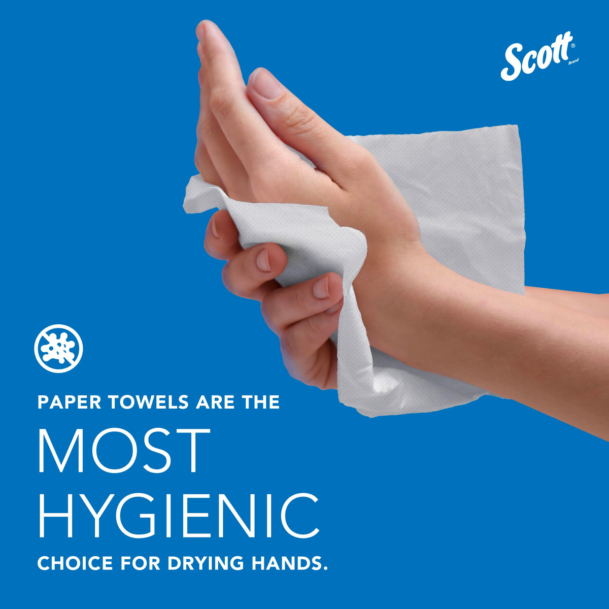 Hard Roll Paper Towels 6 Rolls U586
