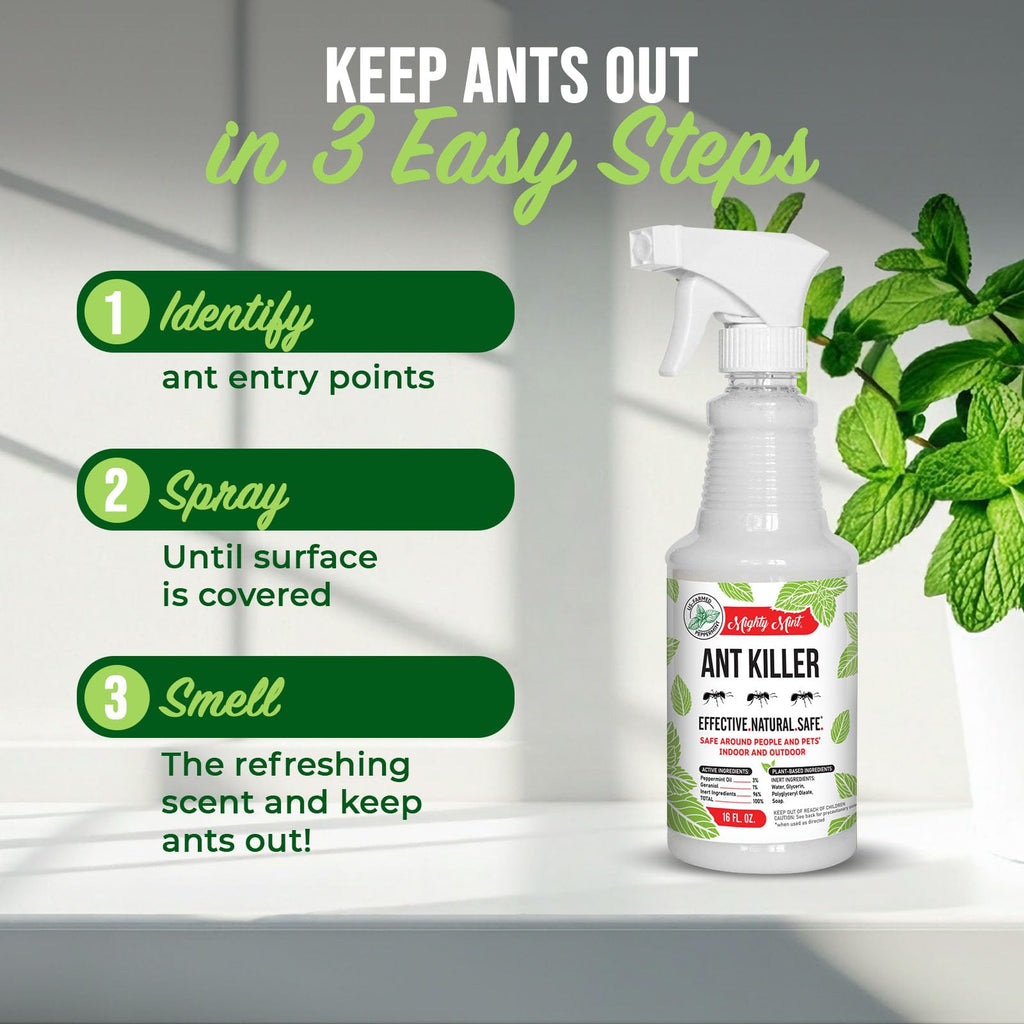 Peppermint Oil Ant Killer Spray, 16 oz M553