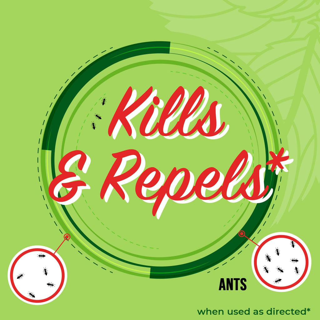 Peppermint Oil Ant Killer Spray, 16 oz M553
