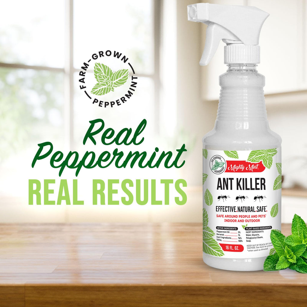 Peppermint Oil Ant Killer Spray, 16 oz M553