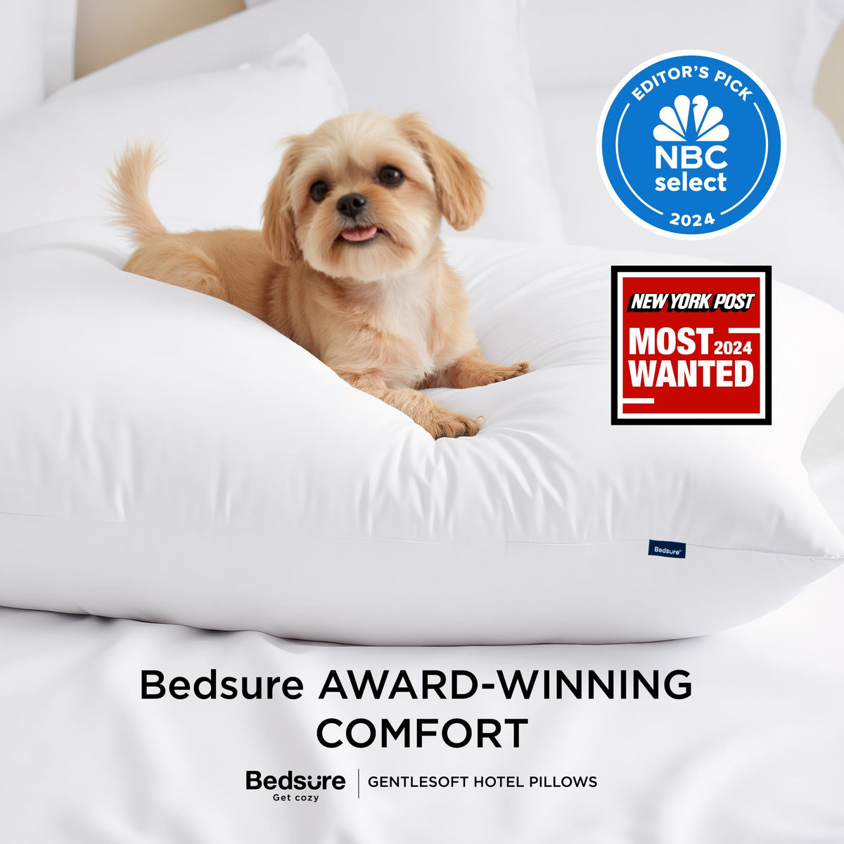 Queen Size Set of 2 Bed Pillows F9038