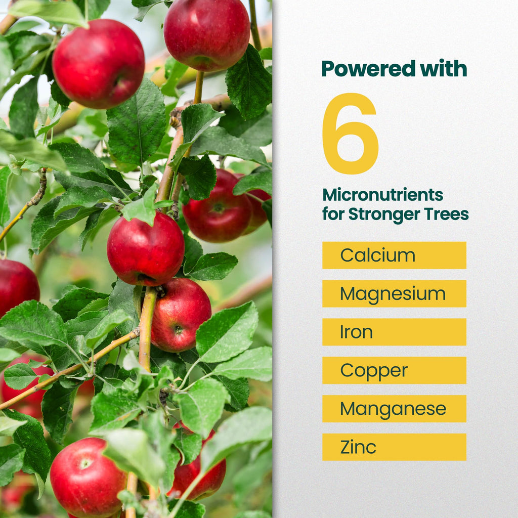 16oz Fruit Tree Fertilizer B5440