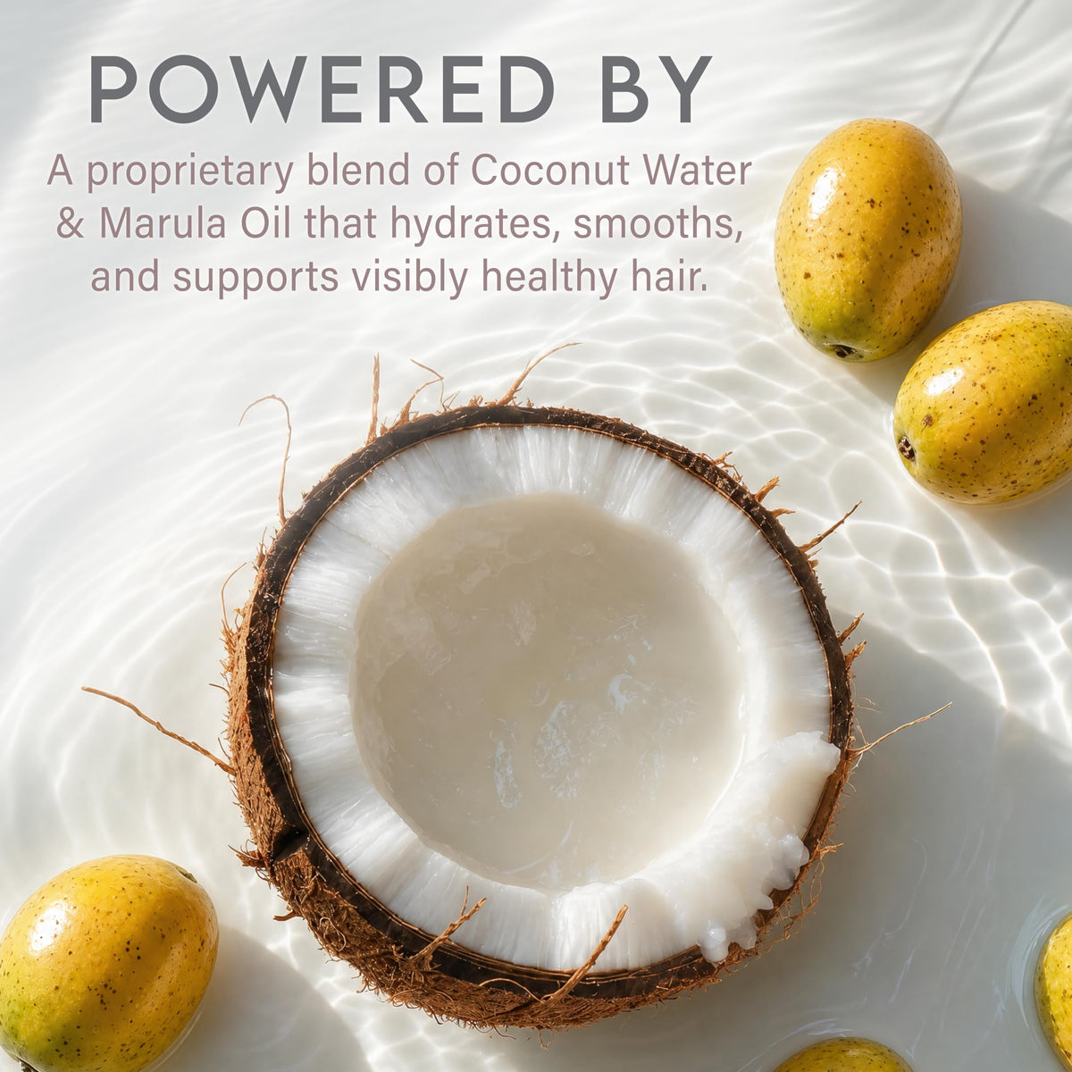 Coconut Water Based Shampoo & Conditioner Set I51037