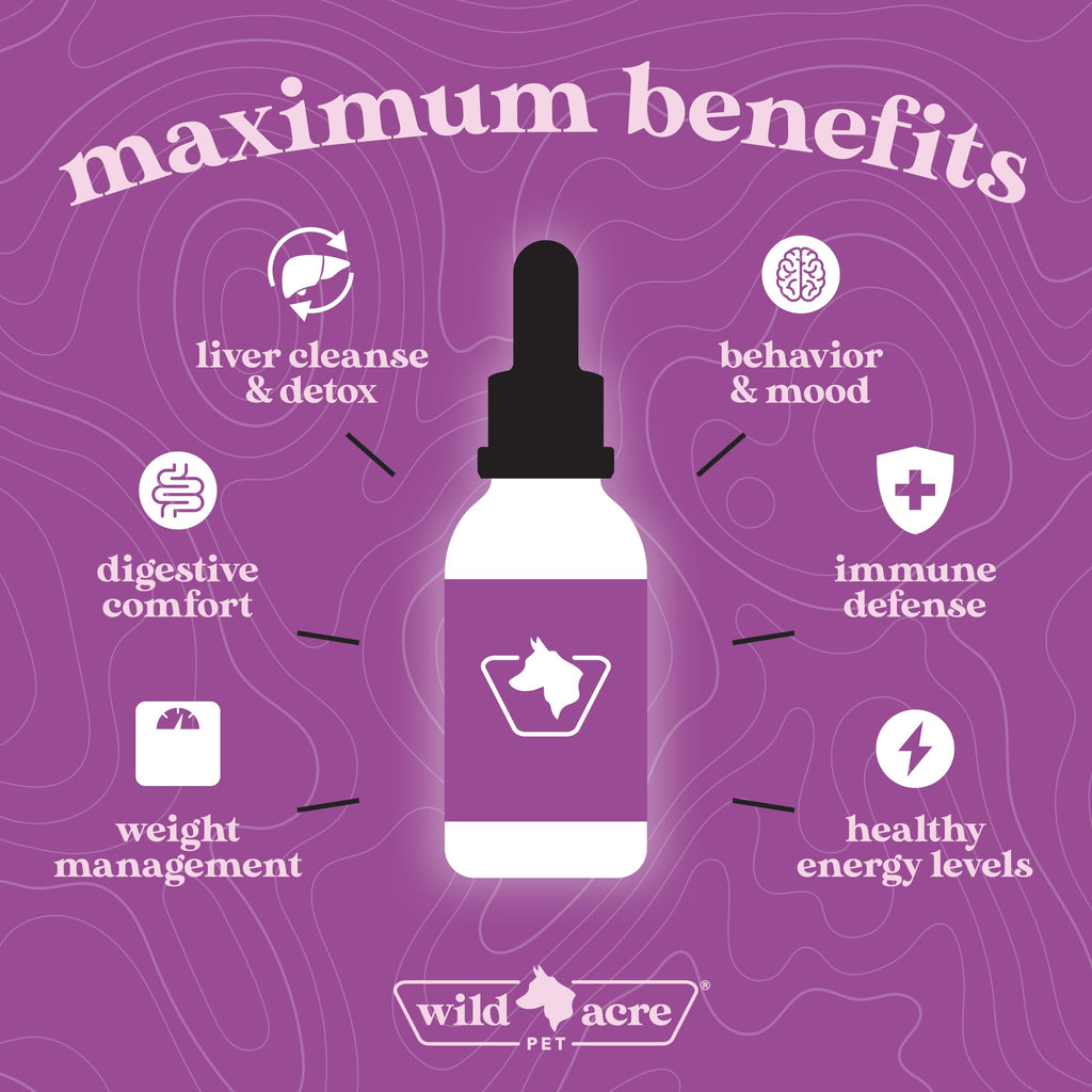 Milk Thistle for Dogs Liver Support 2 oz Q8370