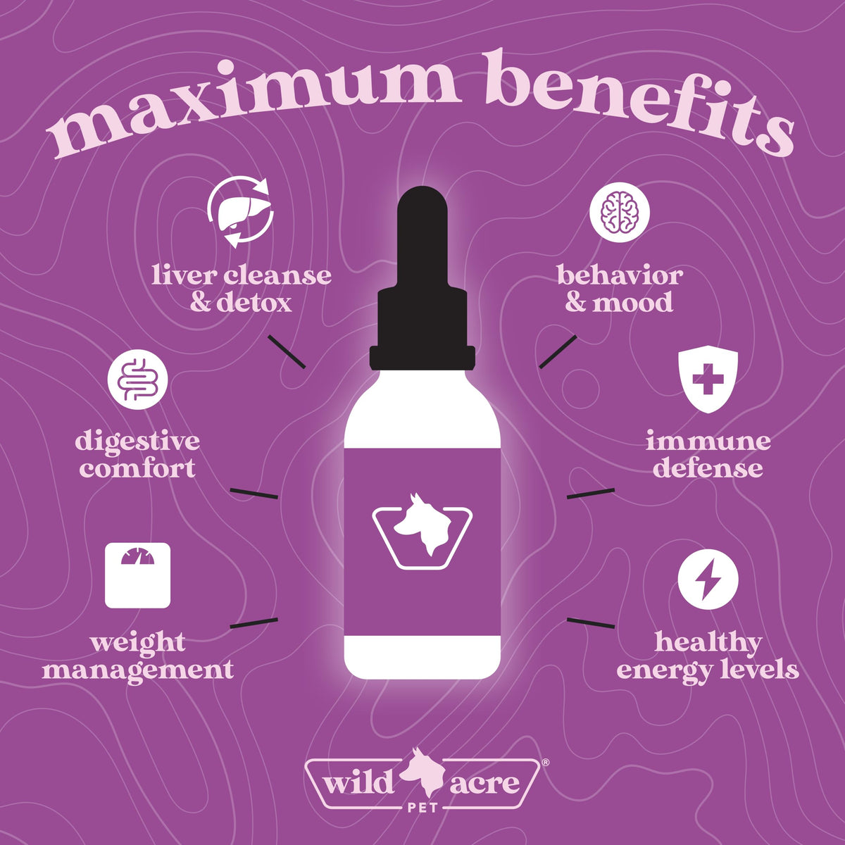Milk Thistle for Dogs Liver Support 2 oz Q8370