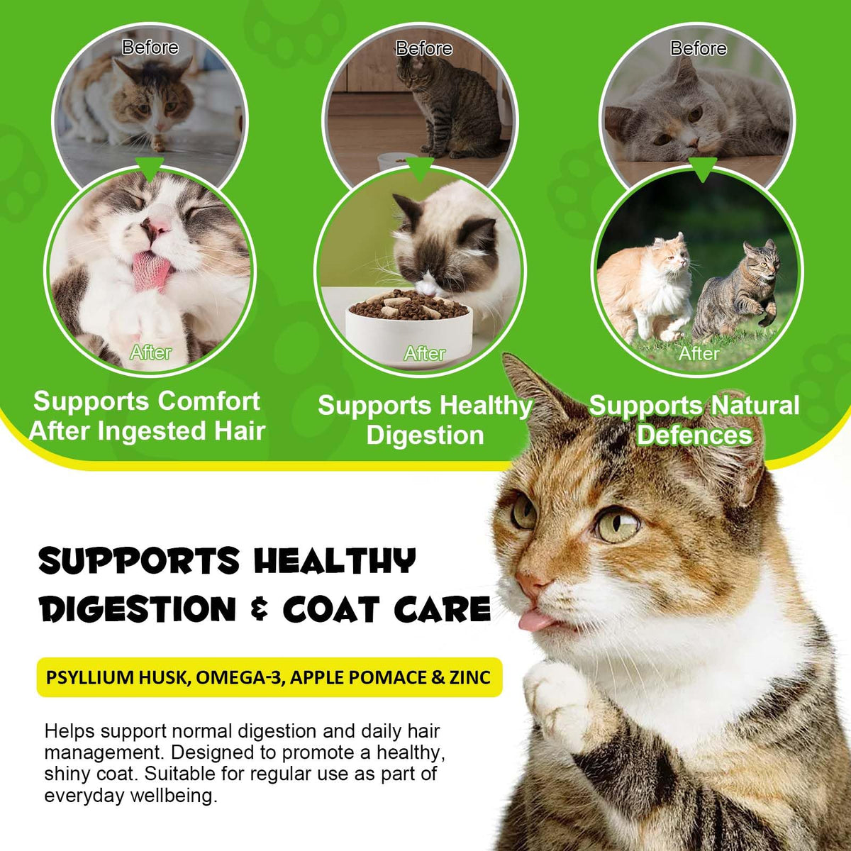 Cat Hairball Support Chews with Cat Grass & Omega-3 Fish Oil N54265