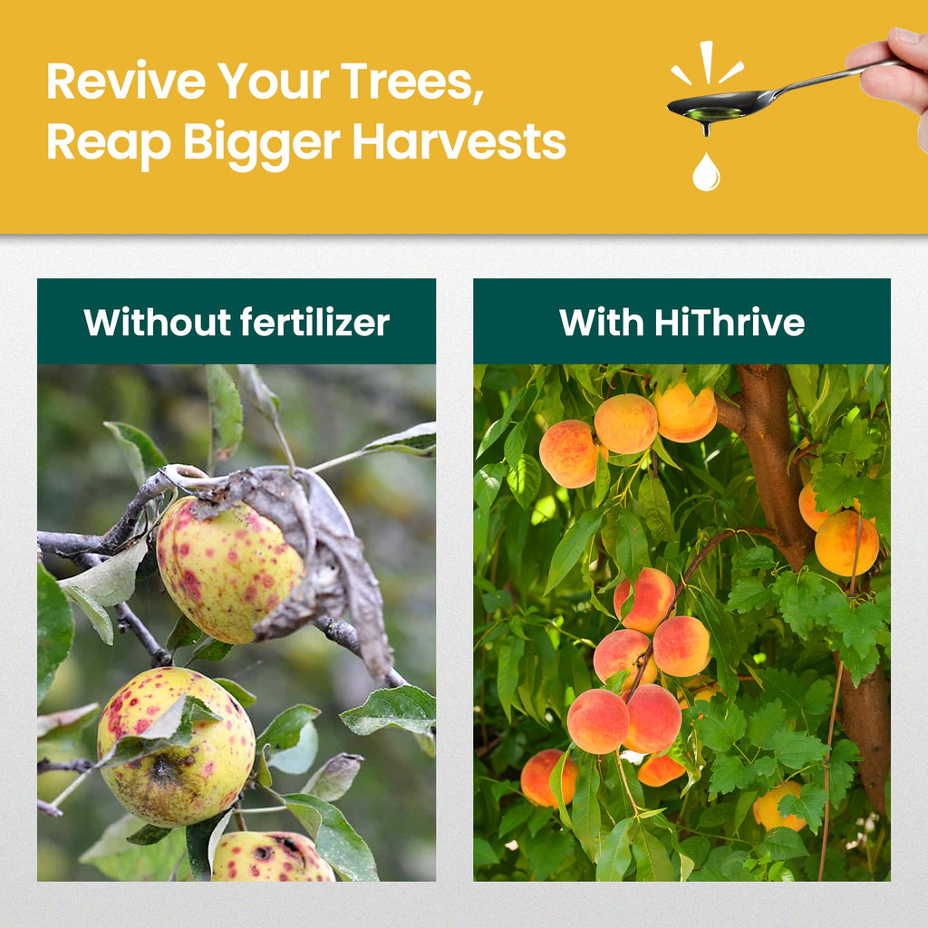 16oz Fruit Tree Fertilizer B5440