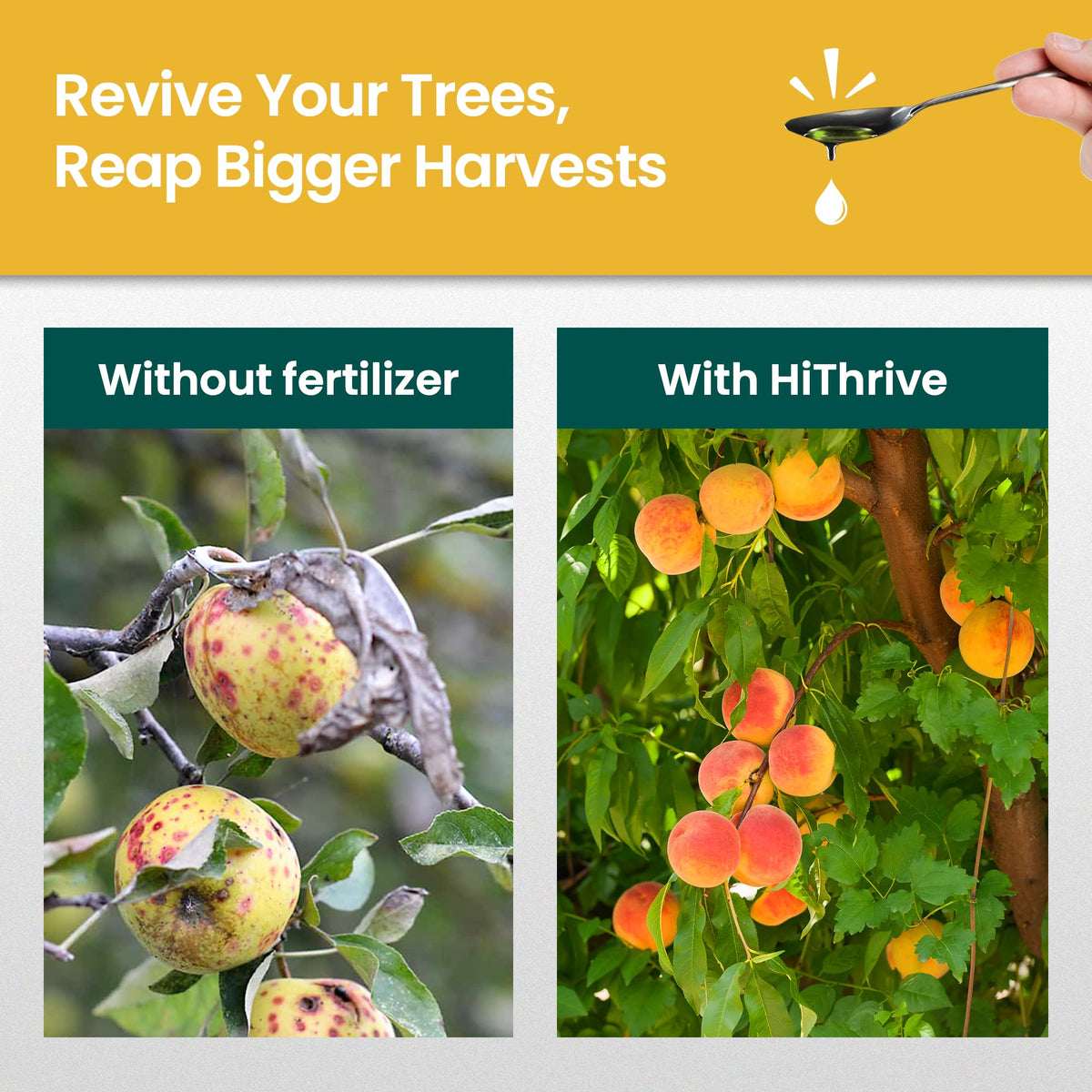 16oz Fruit Tree Fertilizer B5440