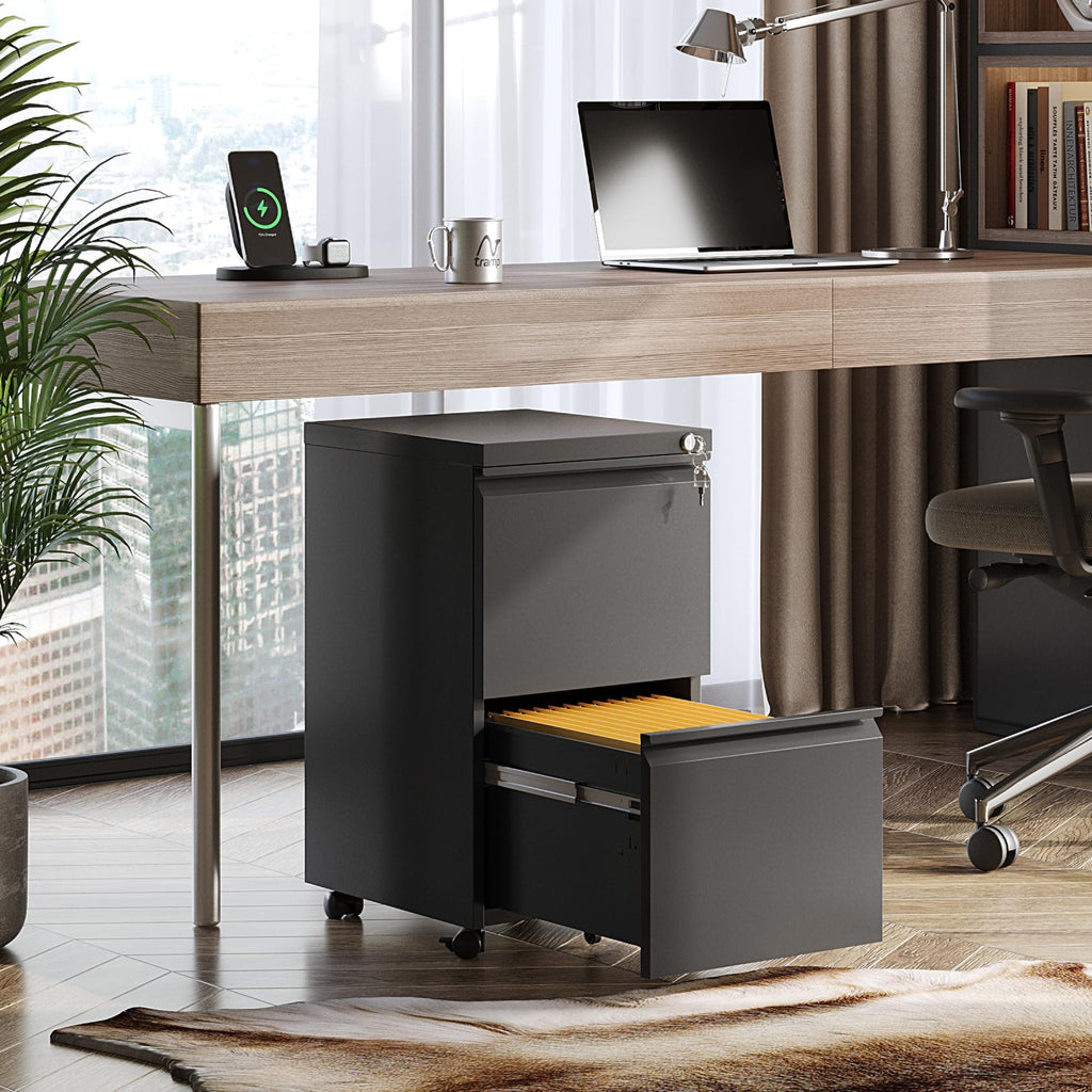 2 Drawer Metal File Cabinet G1494