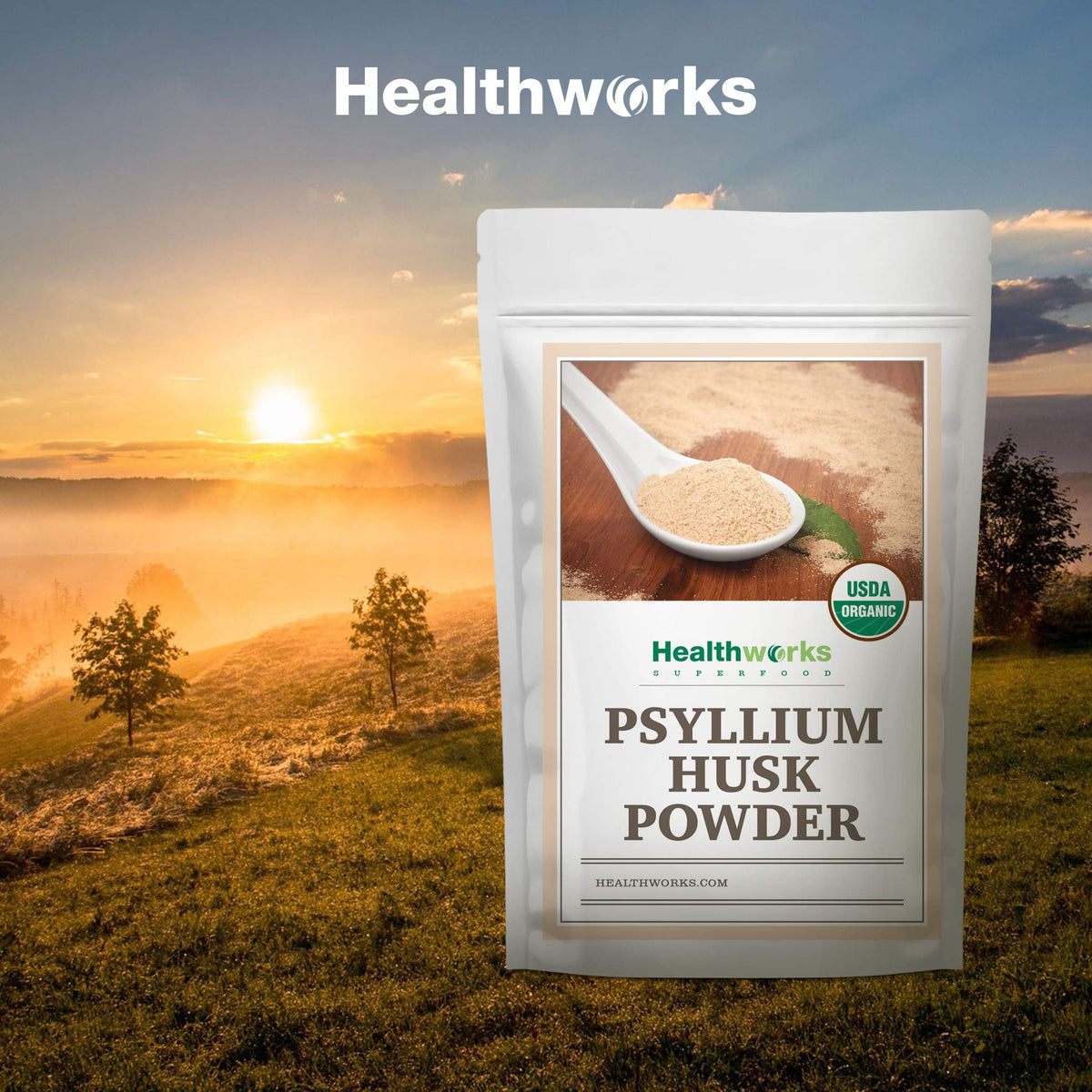 Organic Psyllium Husk Powder 2 lb Z465121