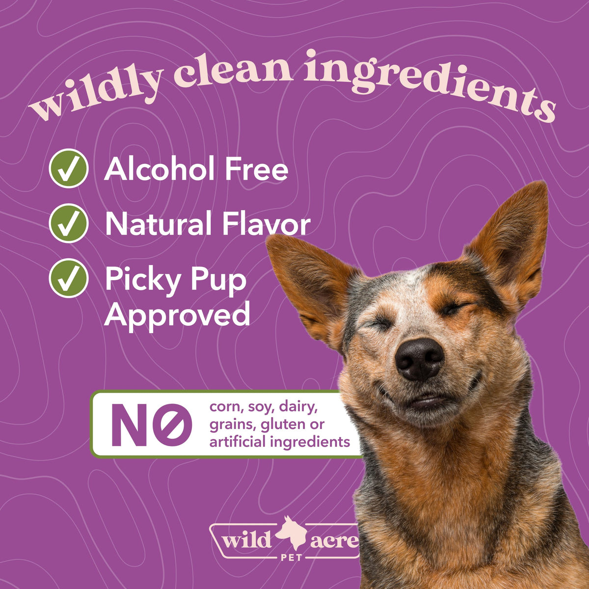 Milk Thistle for Dogs Liver Support 2 oz Q8370